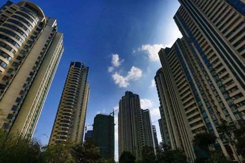 重慶有房一族 安居與增值的平衡，樓市起伏中的真實心態(tài)