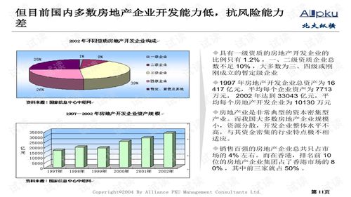 永大集團(tuán)房地產(chǎn)行業(yè)分析報(bào)告 創(chuàng)業(yè)評(píng)估與戰(zhàn)略展望